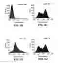 Fig. 06 - Selective delivery of molecules into cells or marking of cells in diseased tissue regions using environmentally sensitive transmembrane peptide