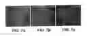 Fig. 08 - Selective delivery of molecules into cells or marking of cells in diseased tissue regions using environmentally sensitive transmembrane peptide