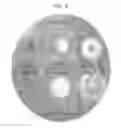 Fig. 10 - Yeast cells expressing an exogenous cellulosome and methods of using the same