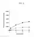 Fig. 05 - NUCLEIC ACID WHICH IS STABILIZED AGAINST DECOMPOSITION