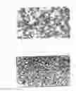 Fig. 06 - SRSV detection kit
