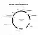 Fig. 09 - Mammalian expression vector pUHAB