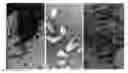 Fig. 01 - Conversion of chitin into N-acetylglucosamine, glucosamine and bioethanol