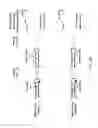 Fig. 60 - Use of stem-loop oligonucleotides in the preparation of nucleic acid molecules