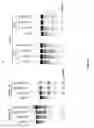 Fig. 06 - Engineered cleavage half-domains