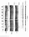 Fig. 07 - Engineered cleavage half-domains