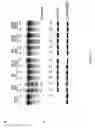Fig. 09 - Engineered cleavage half-domains