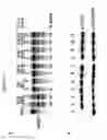 Fig. 22 - Engineered cleavage half-domains