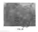 Fig. 27 - Processing biomass