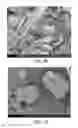 Fig. 30 - Processing biomass