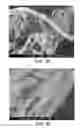 Fig. 31 - Processing biomass