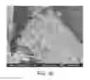 Fig. 32 - Processing biomass