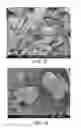 Fig. 30 - Processing biomass