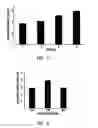 Fig. 04 - Rehydratable matrices for dry storage of TAQ polymerase in a microfluidic device