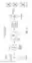 Fig. 12 - Thymidine Kinase Mutants