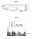 Fig. 04 - SOLUBLE PROTEIN AND UTILIZATION OF THE SAME