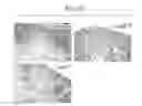 Fig. 12 - SOLUBLE PROTEIN AND UTILIZATION OF THE SAME