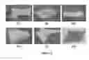 Fig. 06 - Hide processing methods and compositions