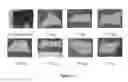 Fig. 08 - Hide processing methods and compositions