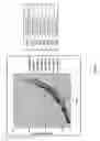 Fig. 04 - strain for increased protein production