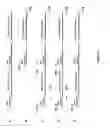 Fig. 08 - strain for increased protein production