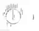 Fig. 10 - strain for increased protein production