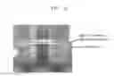 Fig. 04 - METHOD OF SEPARATING TARGET CELL IN BIOLOGICAL SAMPLE