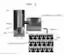 Fig. 05 - METHOD OF SEPARATING TARGET CELL IN BIOLOGICAL SAMPLE
