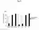 Fig. 09 - Method for inducing differentiation of pluripotent stem cells into neural precursor cells