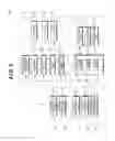Fig. 04 - Technique for determining the state of a cell aggregation image processing program and image processing device using the technique, and method for producing a cell aggregation