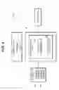 Fig. 05 - Technique for determining the state of a cell aggregation image processing program and image processing device using the technique, and method for producing a cell aggregation