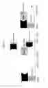 Fig. 02 - NOVEL BAK BINDING PROTEIN, DNA ENCODING THE PROTEIN, AND METHODS OF USE THEREOF