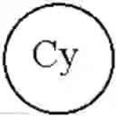 Fig. 49 - Oligonucleotide end caps