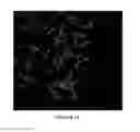 Fig. 09 - MUTANT RAS POLYPEPTIDE CRYSTAL