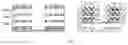 Fig. 01 - METHOD OF FORMING PHOTONIC CRYSTALS