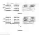 Fig. 06 - METHOD OF FORMING PHOTONIC CRYSTALS