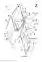 Fig. 02 - Device and method for skinning fish fillets