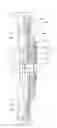 Fig. 01 - Torque limiter device