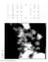 Fig. 06 - Porous composite metal oxide, catalyst using the same, and methods for producing the porous composite metal oxide and the catalyst