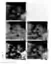 Fig. 09 - Porous composite metal oxide, catalyst using the same, and methods for producing the porous composite metal oxide and the catalyst