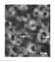 Fig. 06 - NANOCRATER CATALYST IN METAL NANOPARTICLES AND METHOD FOR PREPARING THE SAME
