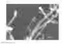 Fig. 08 - NANOCRATER CATALYST IN METAL NANOPARTICLES AND METHOD FOR PREPARING THE SAME