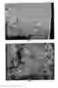 Fig. 02 - Polysaccharide-inorganic composite particles as performance additives for super-absorbent polymers