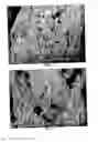 Fig. 03 - Polysaccharide-inorganic composite particles as performance additives for super-absorbent polymers