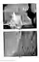 Fig. 04 - Polysaccharide-inorganic composite particles as performance additives for super-absorbent polymers