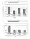 Fig. 06 - Polysaccharide-inorganic composite particles as performance additives for super-absorbent polymers