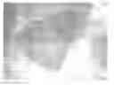 Fig. 01 - METHOD FOR PRODUCING A CERAMIC FOAM HAVING REINFORCED MECHANICAL STRENGTH FOR USE AS A SUBSTRATE FOR A CATALYST BED