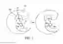 Fig. 03 - Polypeptide immobilization