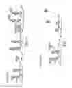 Fig. 06 - Polypeptide immobilization