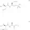 Fig. 22 - Polypeptide immobilization